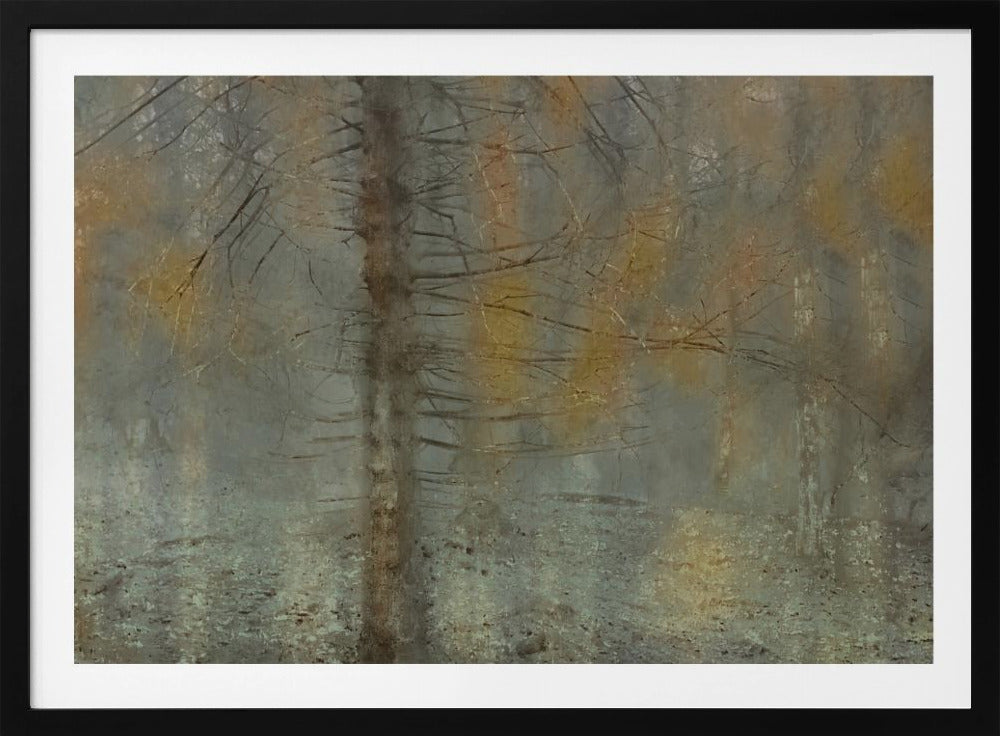 Pine tree | Poster