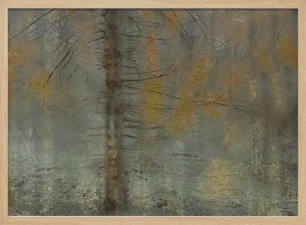 Pine tree | Poster