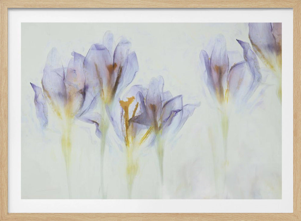Spring | Poster