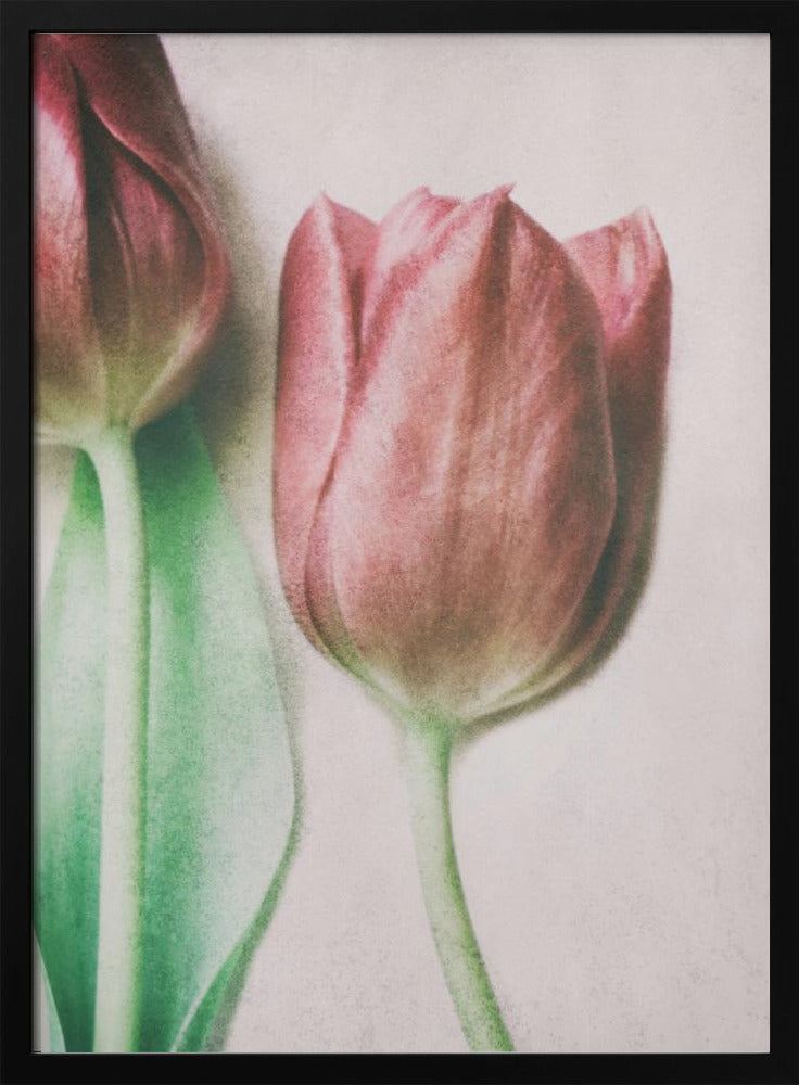 The Spring Lovers | Poster