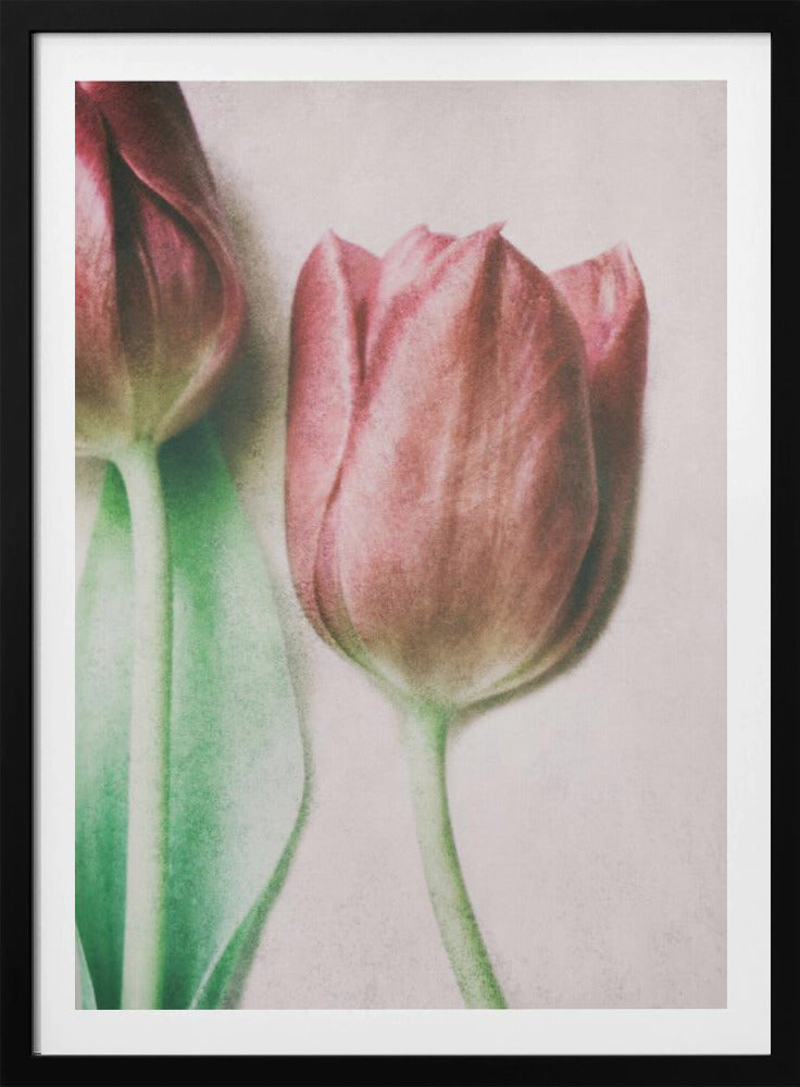 The Spring Lovers | Poster