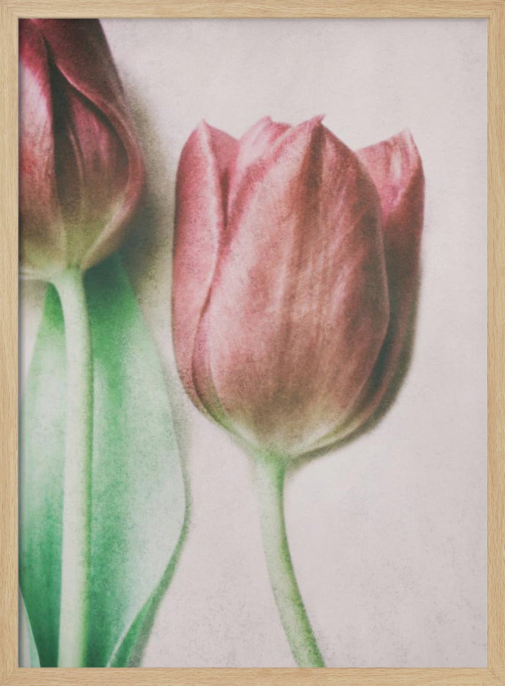 The Spring Lovers | Poster