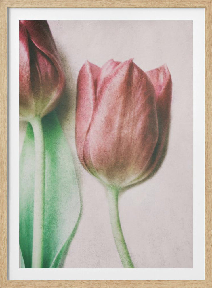 The Spring Lovers | Poster