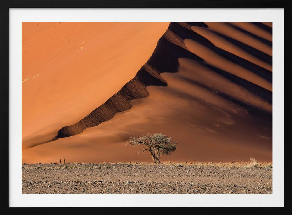The dune and the tree | Poster