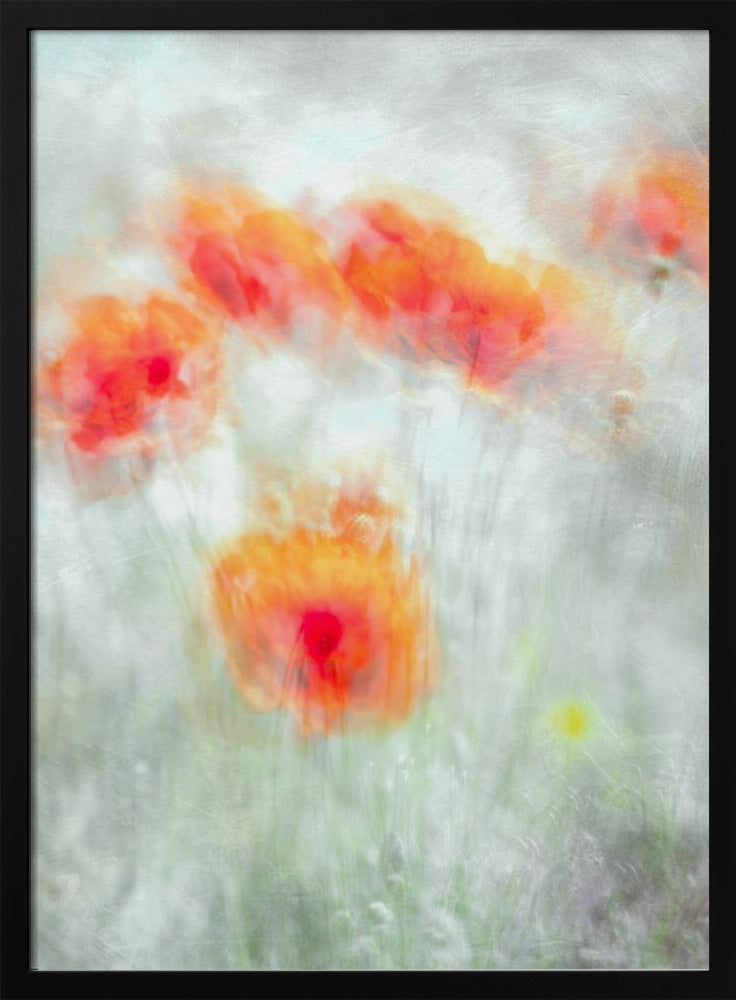 Red Corn Flowers | Poster