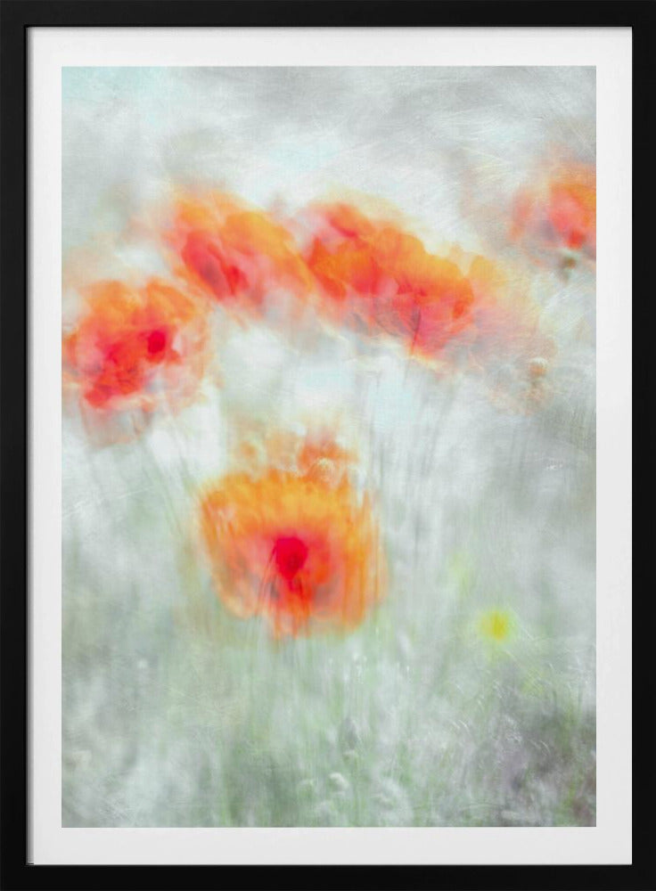 Red Corn Flowers | Poster