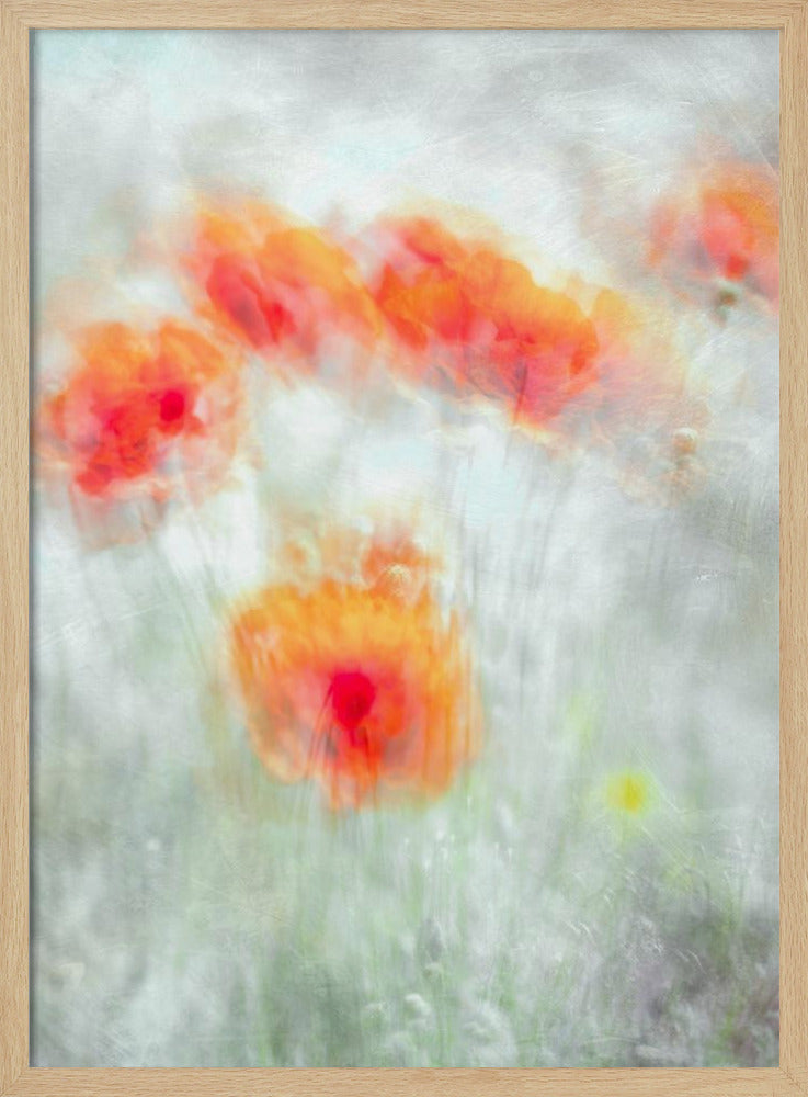 Red Corn Flowers | Poster