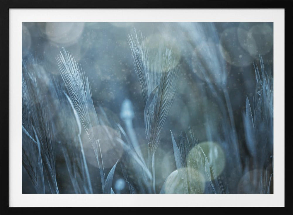 Fantastic Nature | Poster