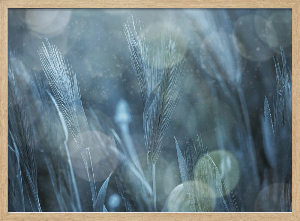 Fantastic Nature | Poster