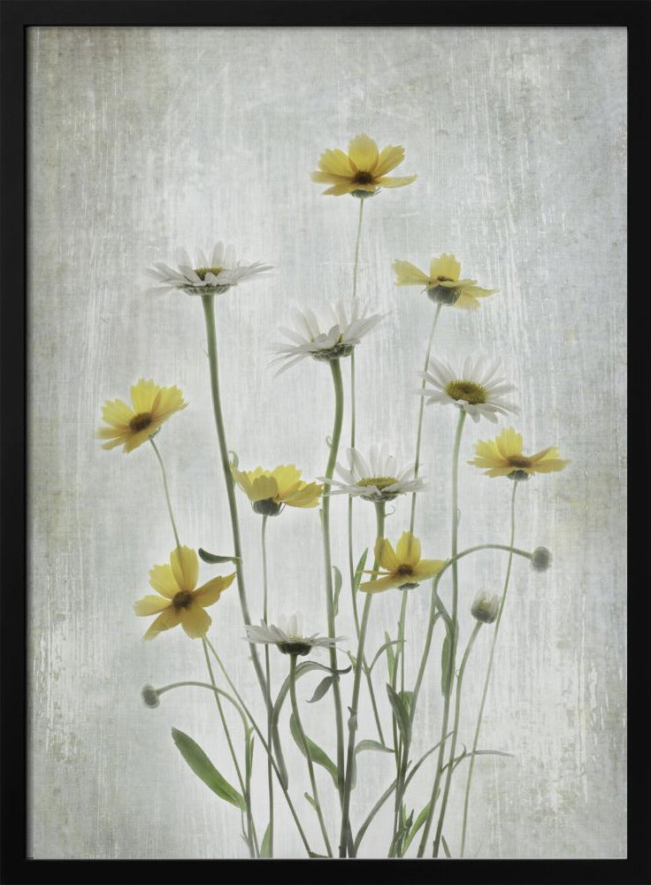Summer Flowers | Poster