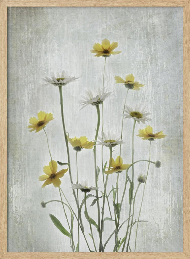 Summer Flowers | Poster