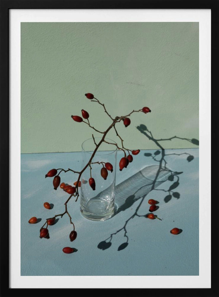 Light &amp; shadow | Poster