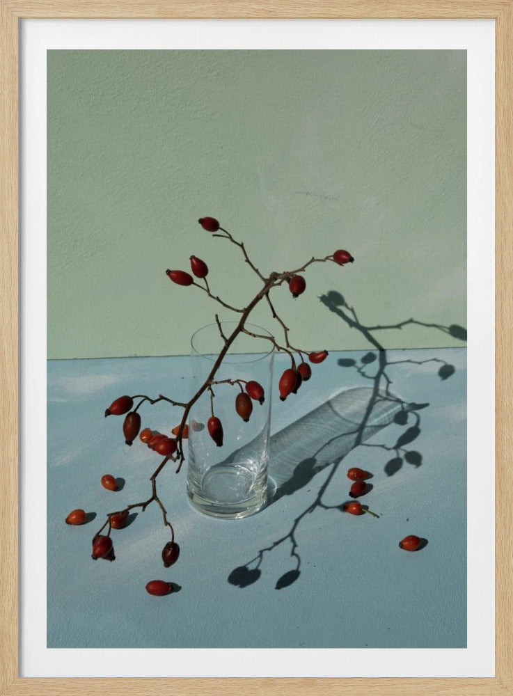 Light &amp; shadow | Poster