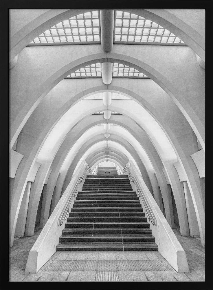 Calatrava lines | Poster