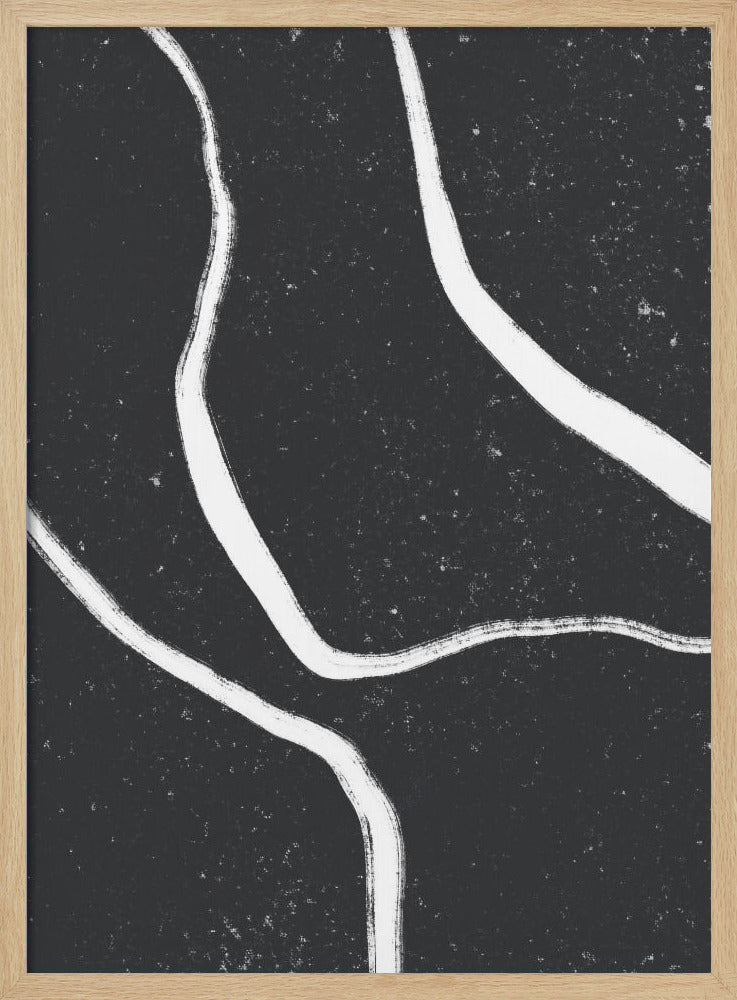 Monochrome Paths | Poster