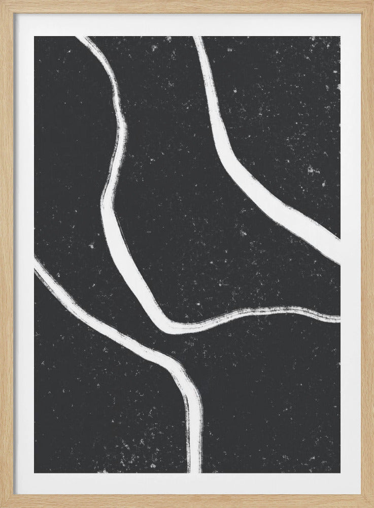 Monochrome Paths | Poster