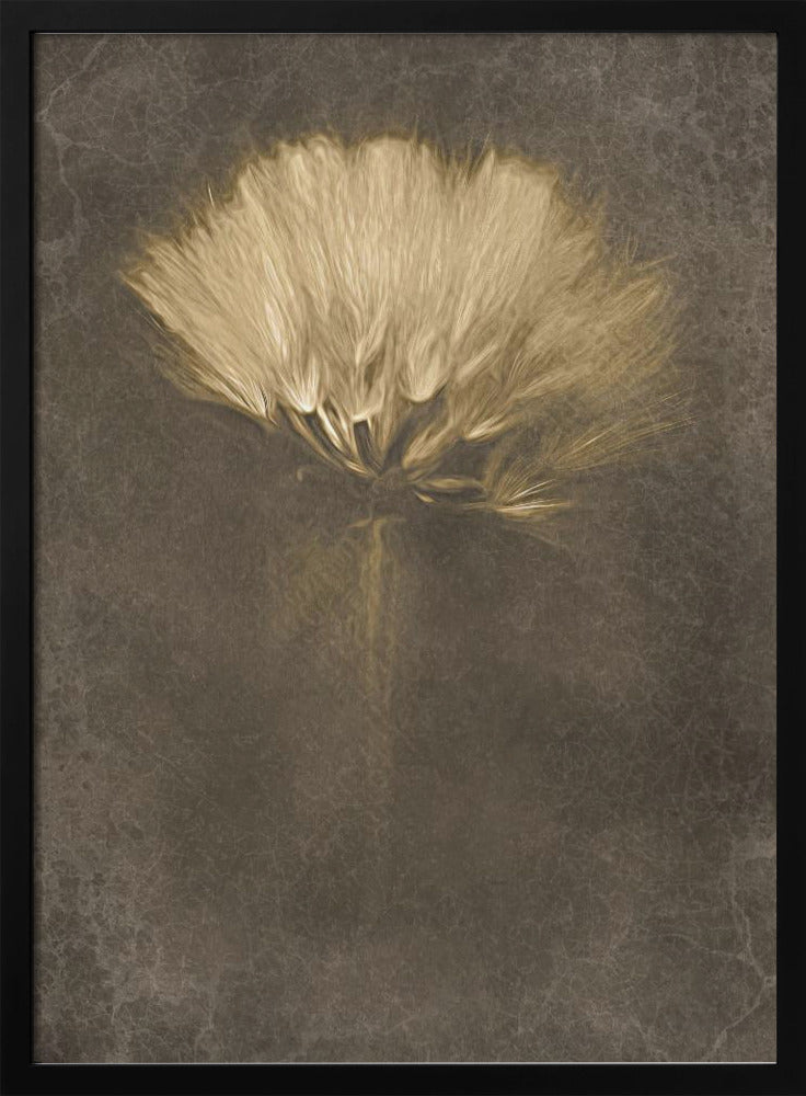 Mysterious Days | Poster