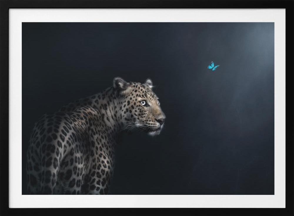 Imagination | Poster