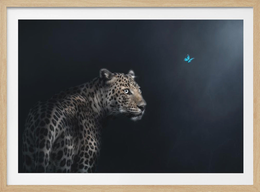 Imagination | Poster