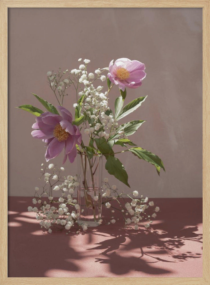 Light &amp; shadow | Poster
