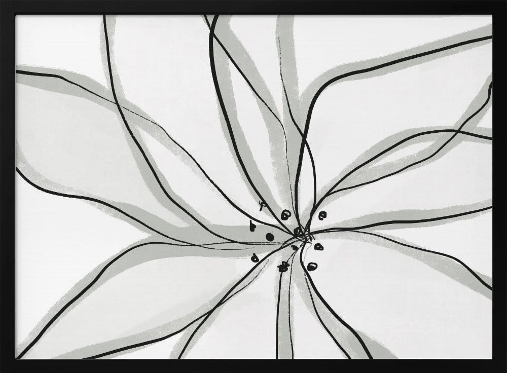 Fragile Flower | Poster