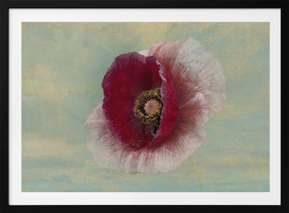 Burgundy Bonnet | Poster
