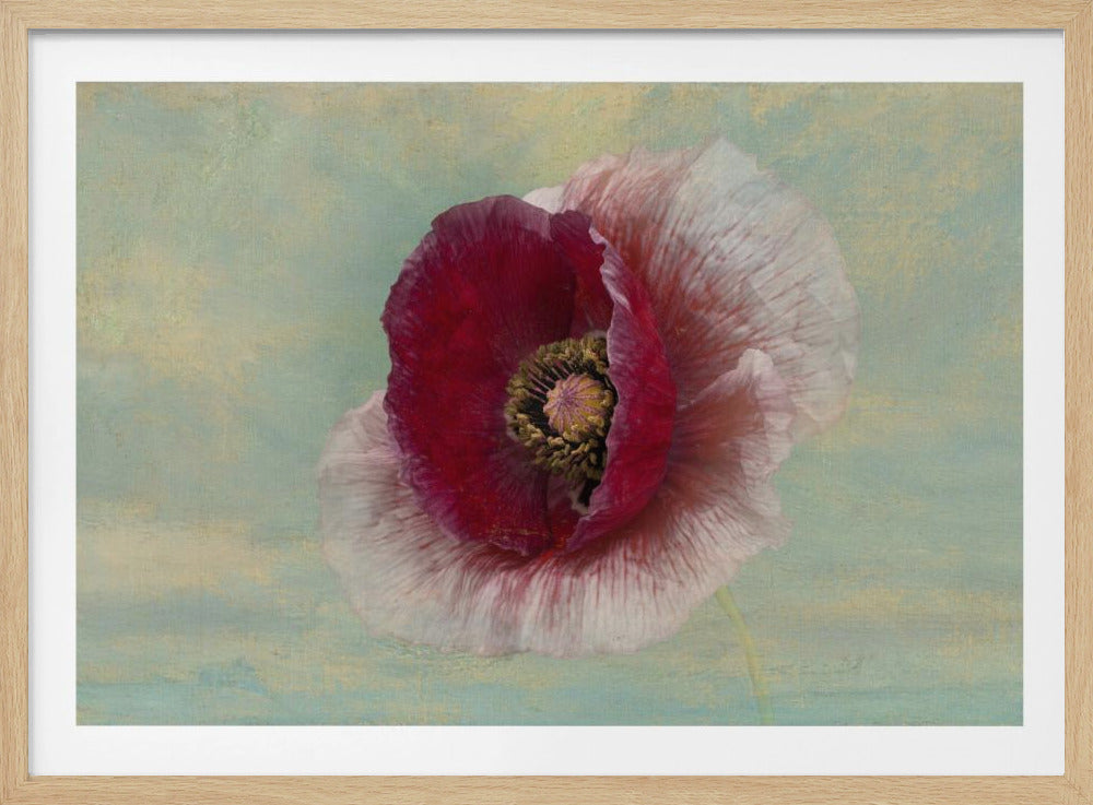 Burgundy Bonnet | Poster
