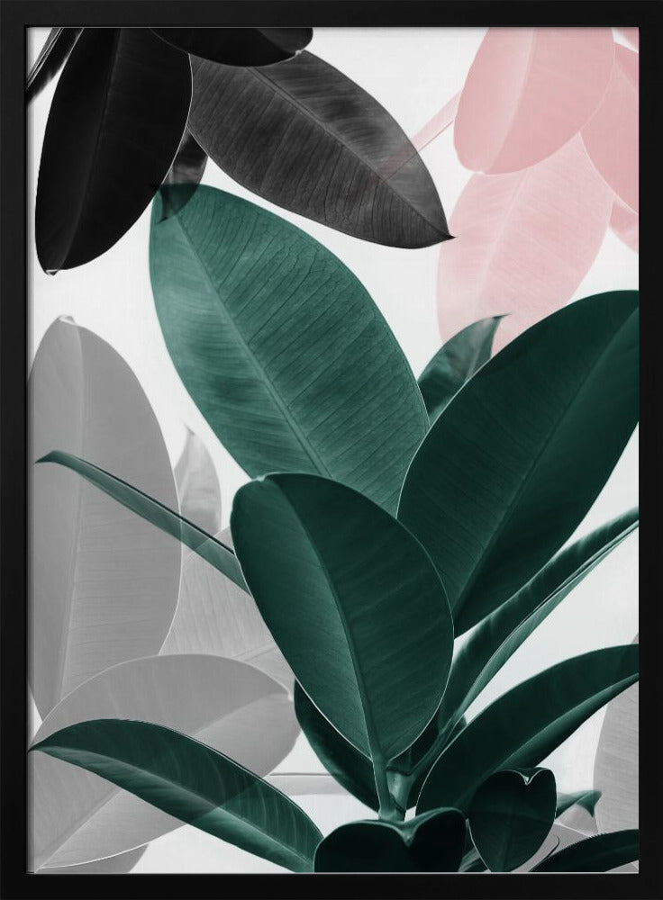 Leaf Play | Poster