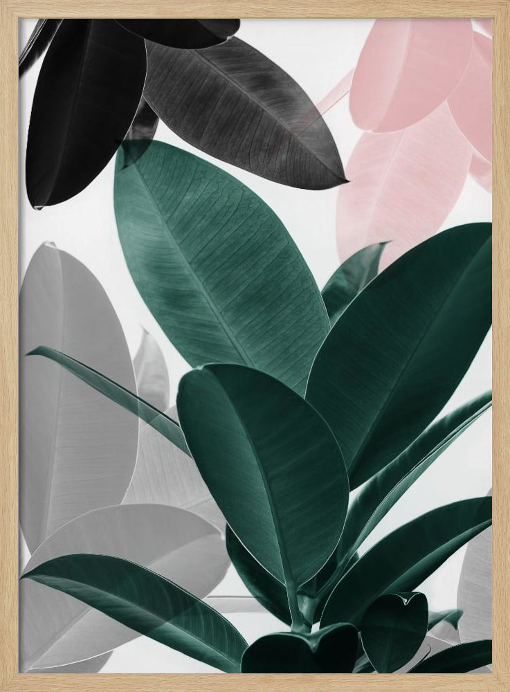 Leaf Play | Poster