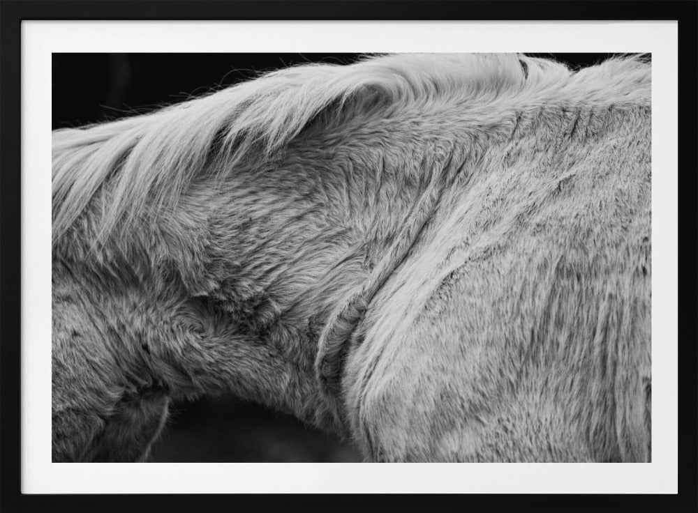 Horse II | Poster