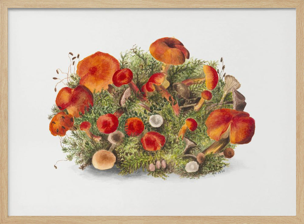 Study of Mushrooms (1880) Horizontal | Poster