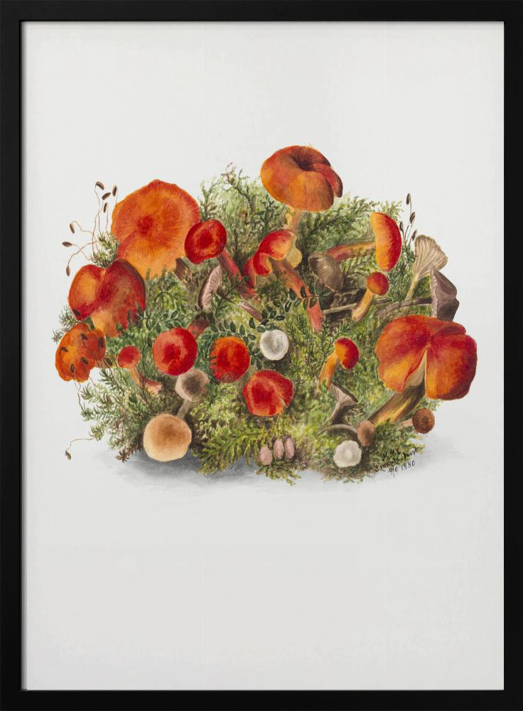 Study of Mushrooms (1880) Portrait Mode | Poster