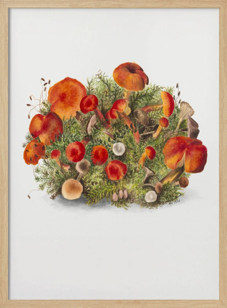 Study of Mushrooms (1880) Portrait Mode | Poster