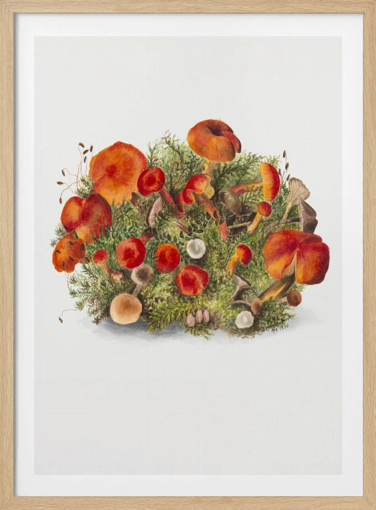 Study of Mushrooms (1880) Portrait Mode | Poster