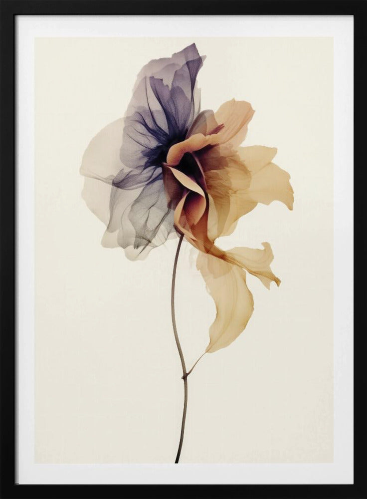 Chiffon Flower | Poster