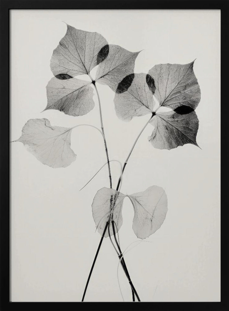 Ethereal Leaves | Poster