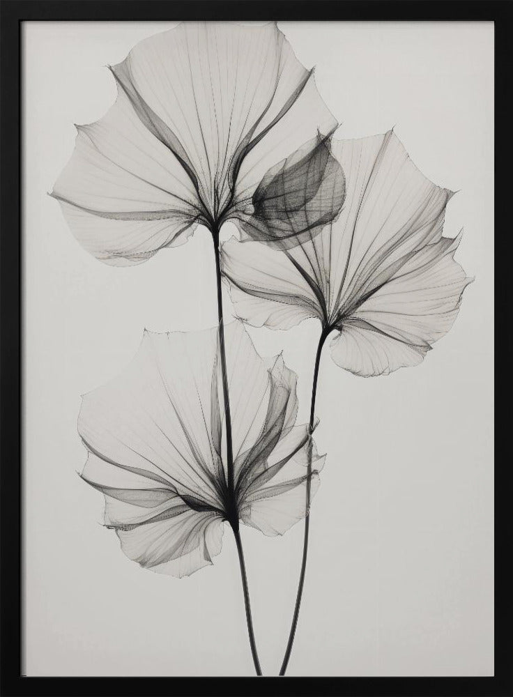 Transparent Botanic No 3 | Poster