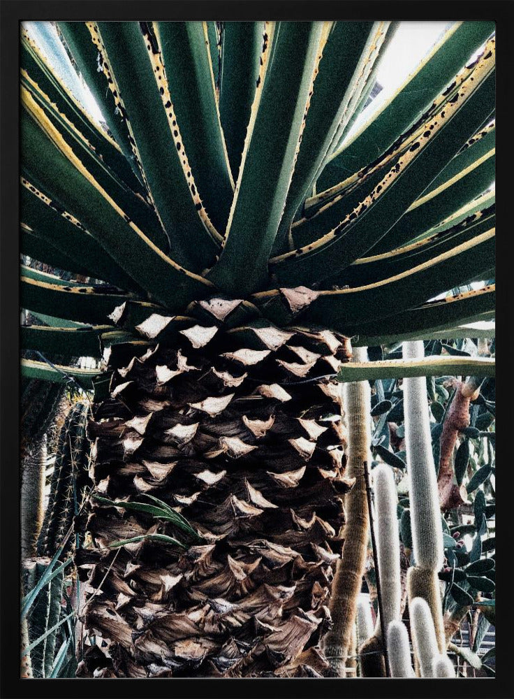 Cactus Plant | Poster