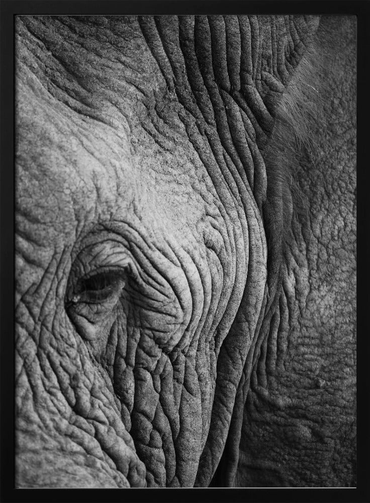 Wisdom&#039;s Wrinkles | Poster