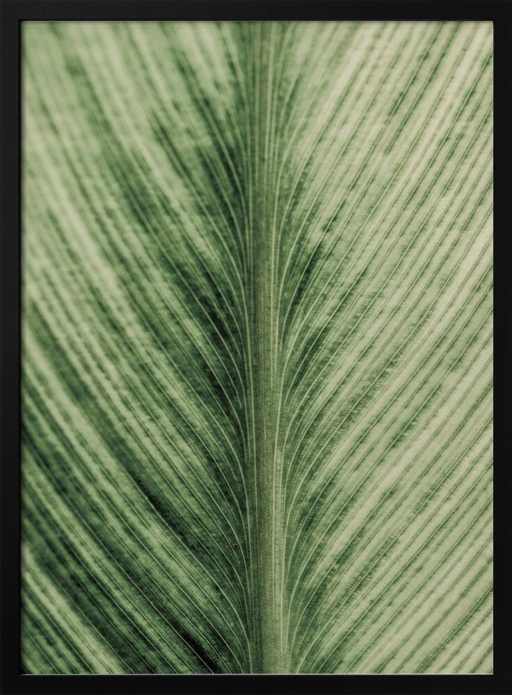 Verdant Veins | Poster