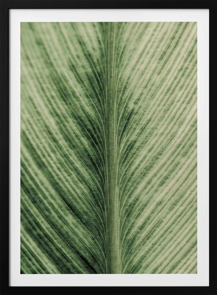 Verdant Veins | Poster