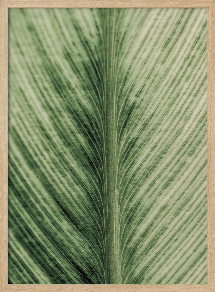 Verdant Veins | Poster