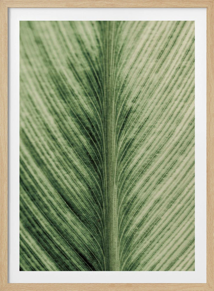 Verdant Veins | Poster