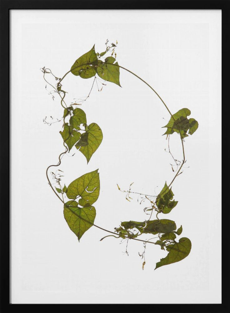 Leafy Circle Dance | Poster