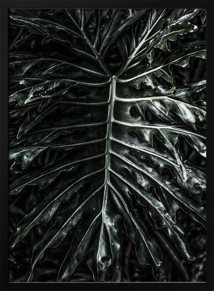 Dark Leaf Elegance | Poster