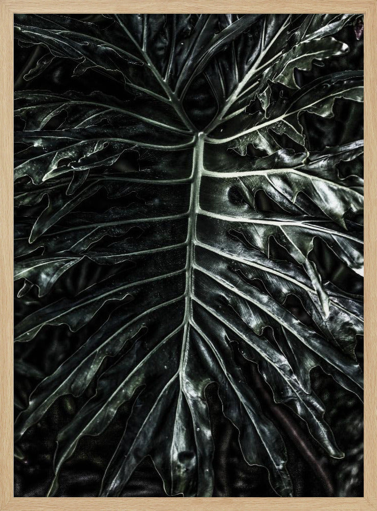 Dark Leaf Elegance | Poster