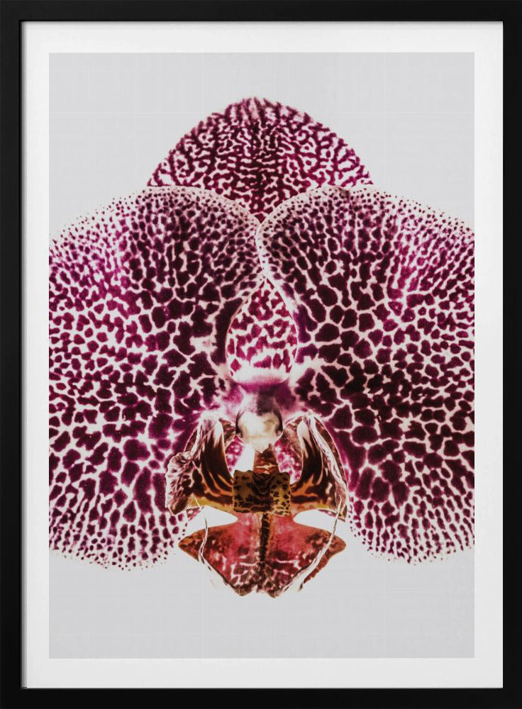 Petal Symmetry Burst | Poster