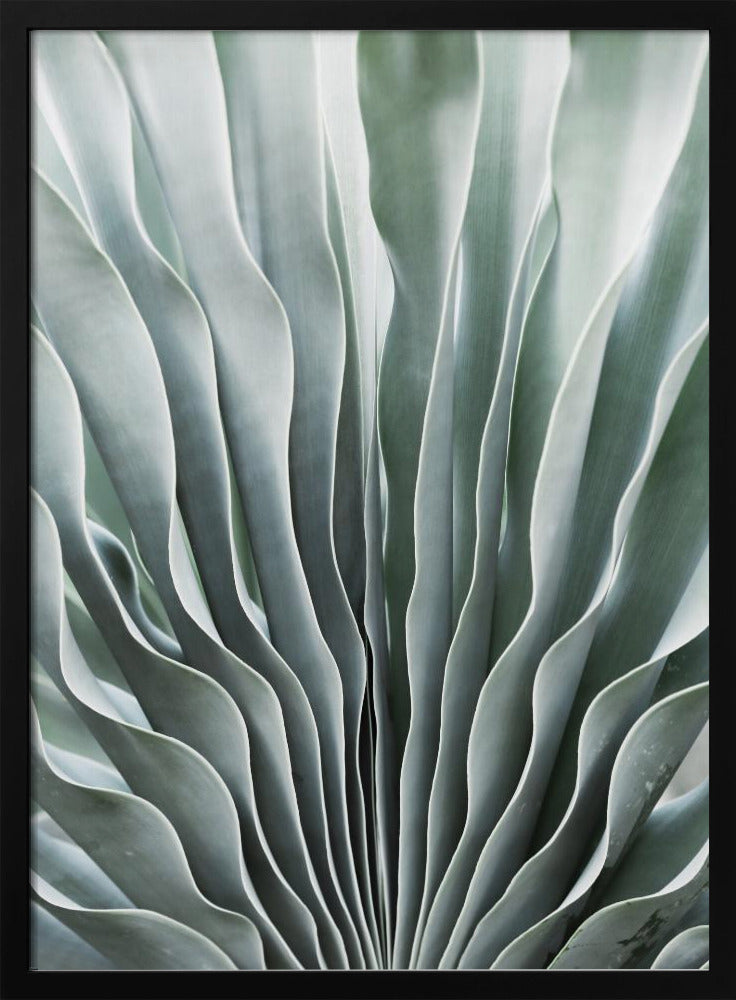 Nature&#039;s Grace | Poster