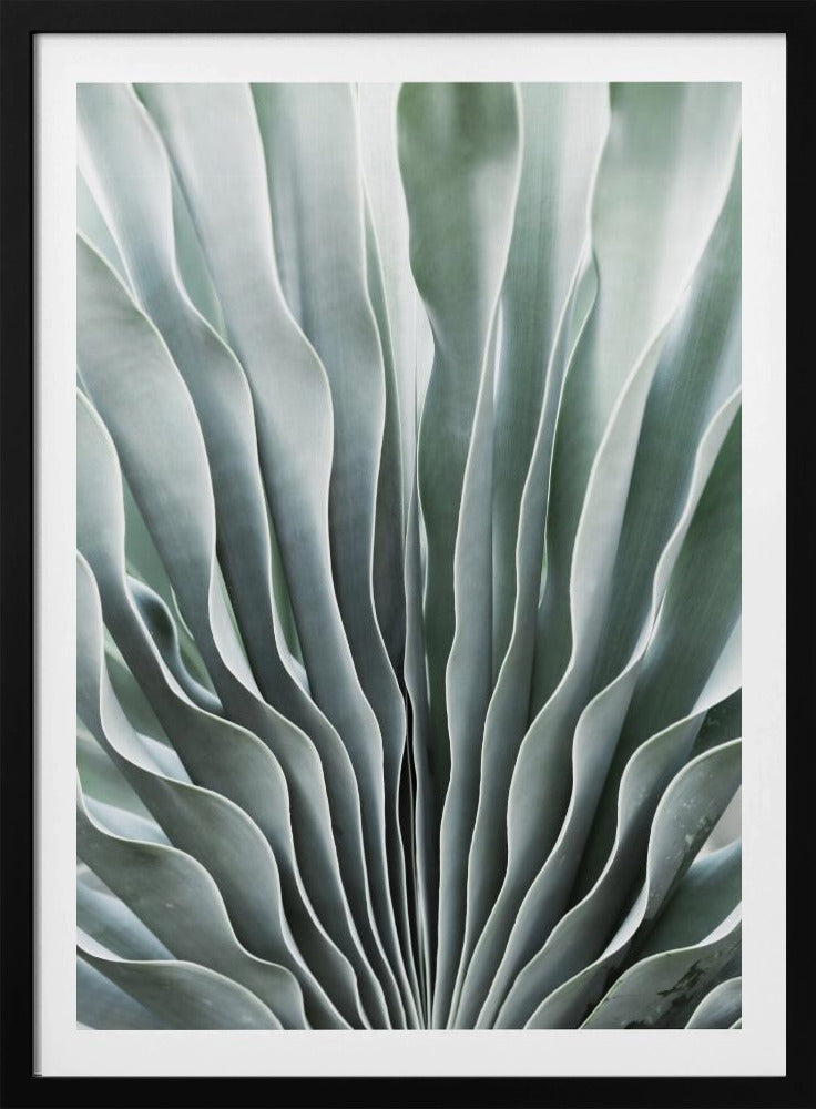 Nature&#039;s Grace | Poster