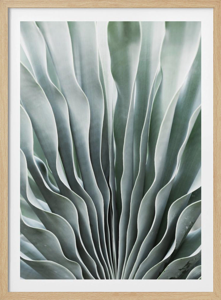 Nature&#039;s Grace | Poster